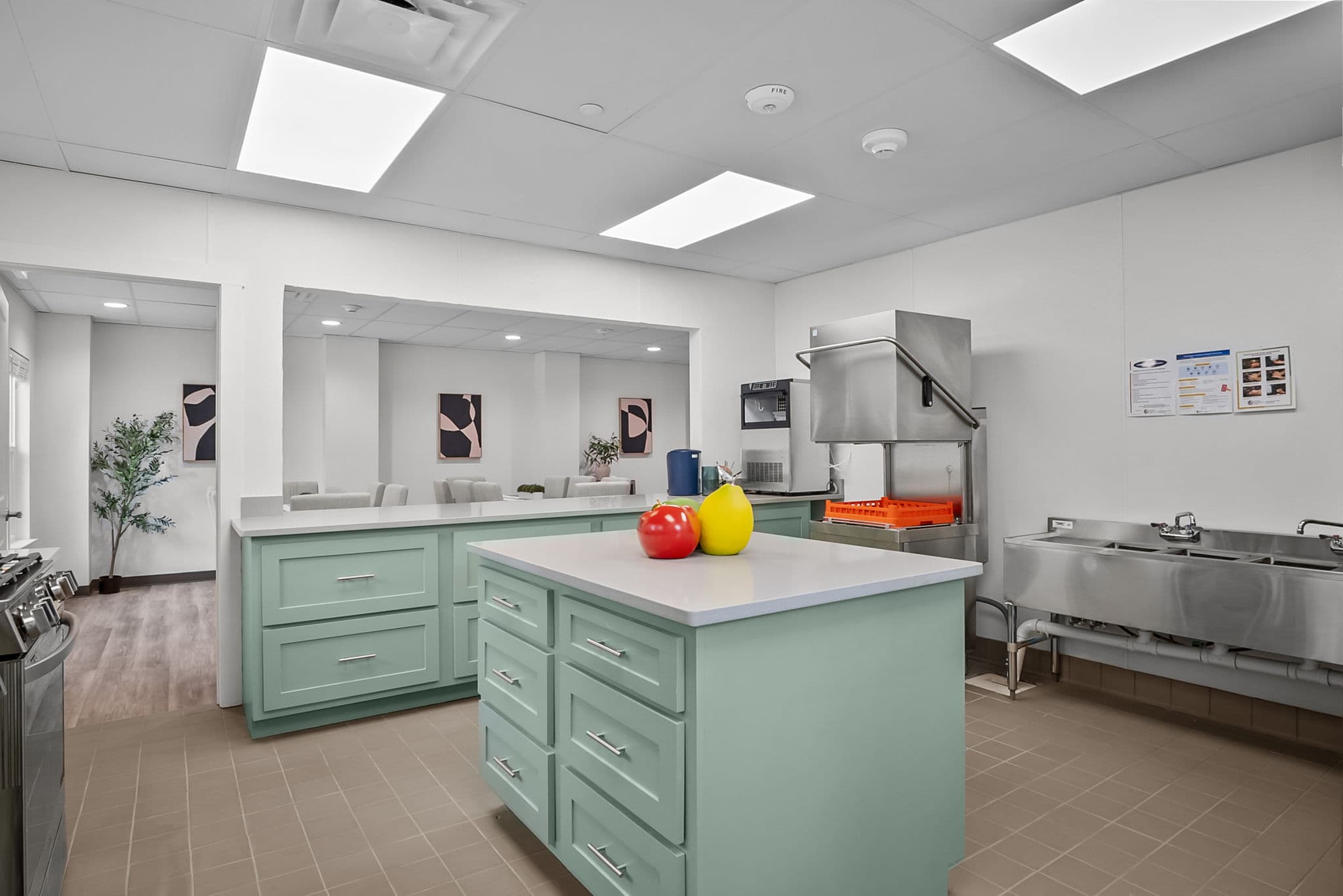 Kitchen island and preparation area